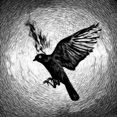 2020-06-30 Blackbird Radio